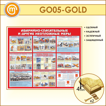  -     (GO-05-GOLD)
